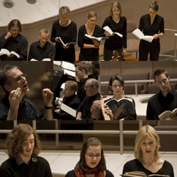 [Portrait Monteverdi Choir]